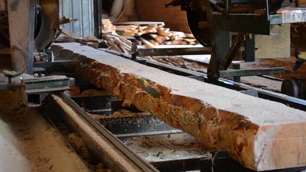 Лесопилка. Процесс обработки бревен в лесопильных станках пилит ствол дерева — стоковое видео