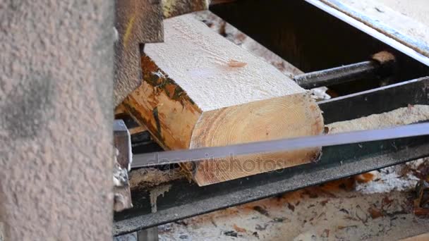 Лесопилка. Процесс обработки бревен в лесопильных станках пилит ствол дерева — стоковое видео