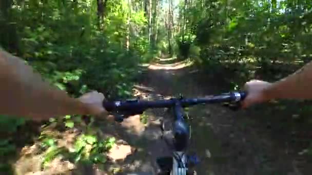 Fille fait du vélo le long d'un chemin dans une forêt de pins en été avec la lumière du soleil — Video