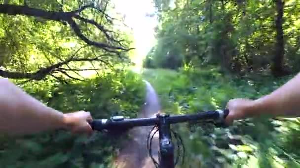 Orman çalılıkları bir bisiklet sürme bir adam — Stok video
