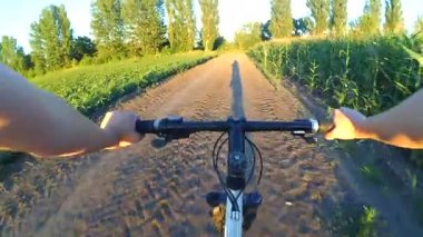 Gün batımında bir yaz tarlasında bisiklet süren bir kız.