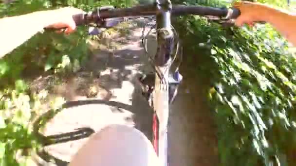 Bicicletta su un sentiero stretto in boscaglie di foresta — Video Stock