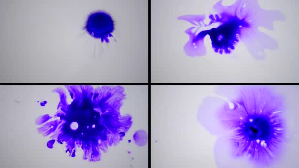 Manchas de tinta de color púrpura fluyen sobre una superficie blanca de cerca — Vídeo de stock