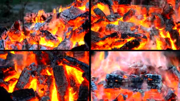 Piece burnt wood smokes and burns in fire close-up. — Stock Video