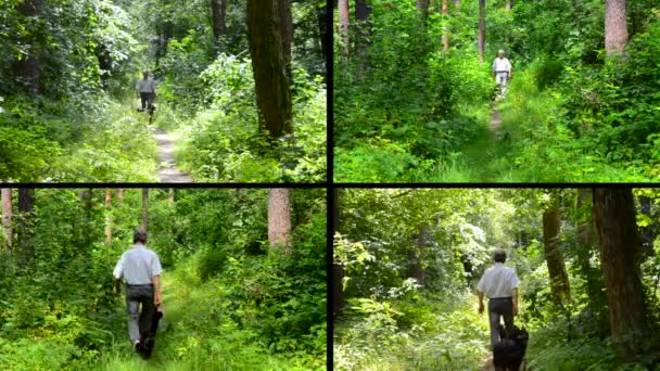 Mann in Hemd und Jeans geht mit Hund im Wald spazieren. — Stockvideo