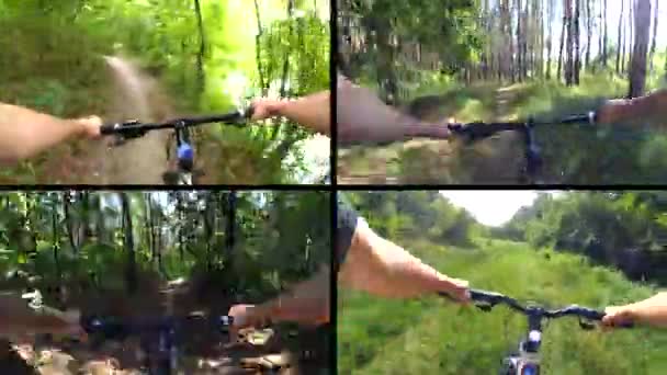 Pessoa de bicicleta no passeio de bicicleta floresta verde no dia ensolarado . — Vídeo de Stock