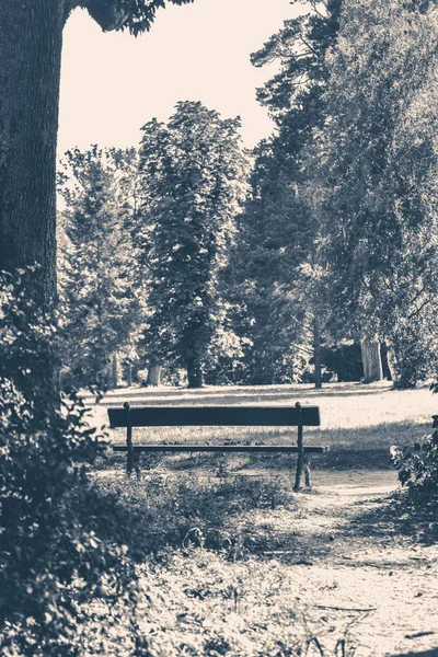 오래 된 빈티지 사진입니다. 공원 벤치 화창한 날 여름 — 스톡 사진