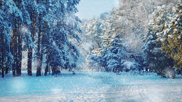 Wysokie drzewa i ścieżka w parku z opadającym śniegiem, kolor niebieski — Wideo stockowe
