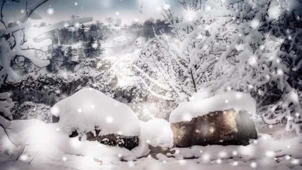 겨울 필터에 있는 눈덮인 나무들, 효과. — 비디오