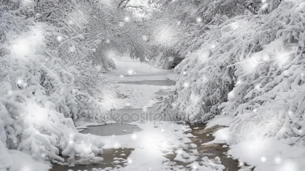 Snow-covered trees plants forest in winter filter, effect. — Stock Video