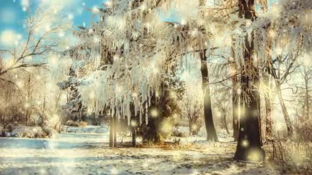 Parque de invierno en un día soleado. Árboles, camino cubierto de nieve en día frío. — Vídeos de Stock