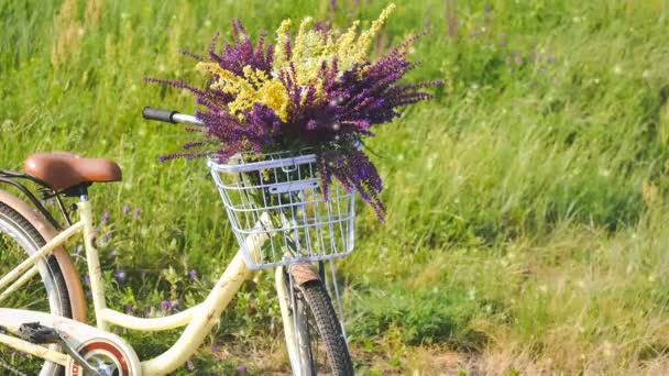 Kerékpár csokor vadvirágok kosárban előtt kormányra — Stock videók
