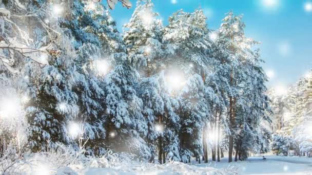 冬天，田野里的树，下着雪，蓝色。雪地降雪. — 图库视频影像