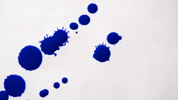 Droppande färgade droppar på en vit bakgrund — Stockvideo