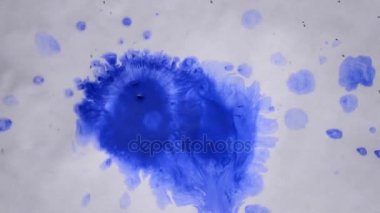 renkli boya beyaz ıslak kağıt üzerinde su sıçramalarına