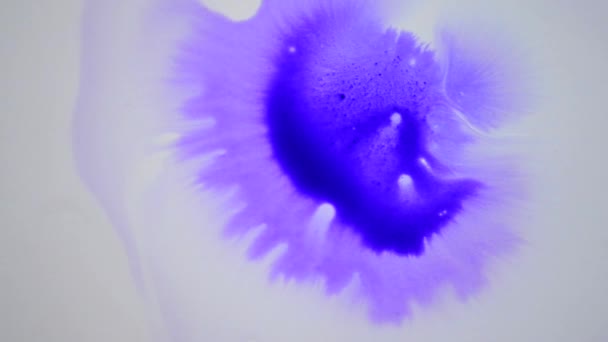 Krásné, šíření purpurové inkoustové kapky — Stock video