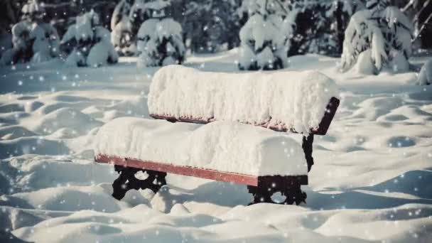 Fantástico conto de fadas paisagem mágica vista banco árvore de Natal — Vídeo de Stock