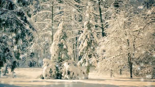Fantastische märchenhafte magische Landschaft Ansicht Weihnachtsbaum — Stockvideo