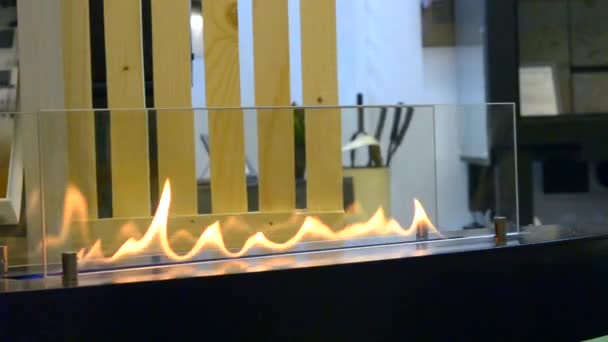 현대 바이오 에탄올 가스 벽난로 fireplot입니다. 스마트 생태 — 비디오
