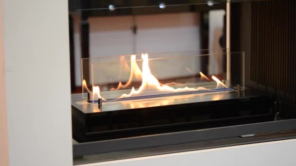 Moderne bio fireplot open haard op gas van ethanol. Smart ecologische — Stockvideo