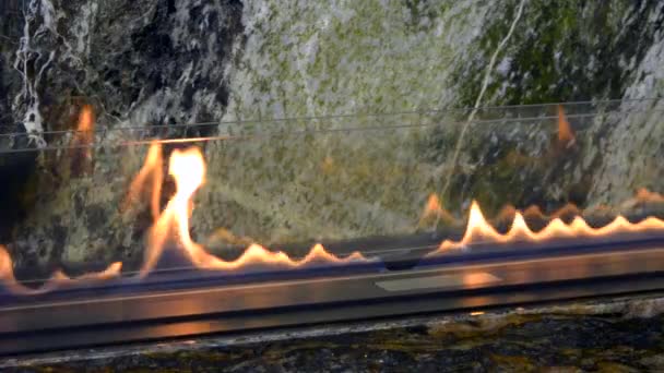 Modern biyo etanol gaz şömine fireplot. Akıllı ekolojik — Stok video
