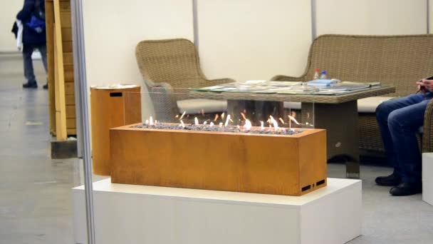 现代生物 fireplot 壁炉在乙醇气体。智能生态 — 图库视频影像