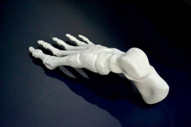 İnsan ayağı iskeletinin beyaz prototipi koyu yüzeydeki 3D yazıcıya basılmış..