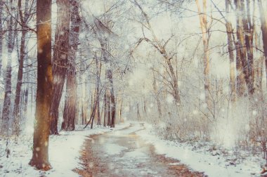 güneşli bir kış park