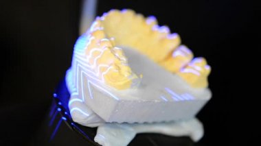 3D model insan dişleri yakın çekim tarama