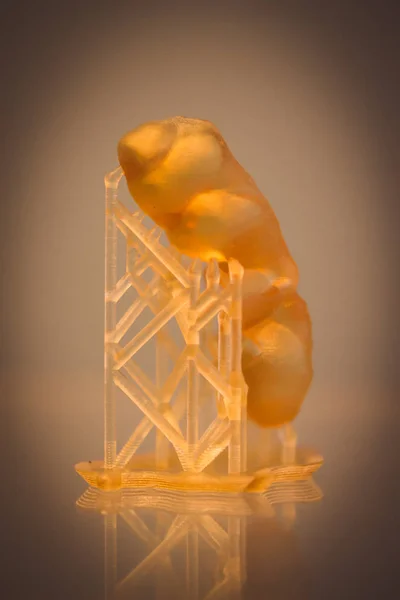 Lidská čelist potištěná na 3D tiskárně fotopolymeru. — Stock fotografie