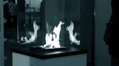 Burning fire flame close up. Biofireplace burn on ethanol gas.