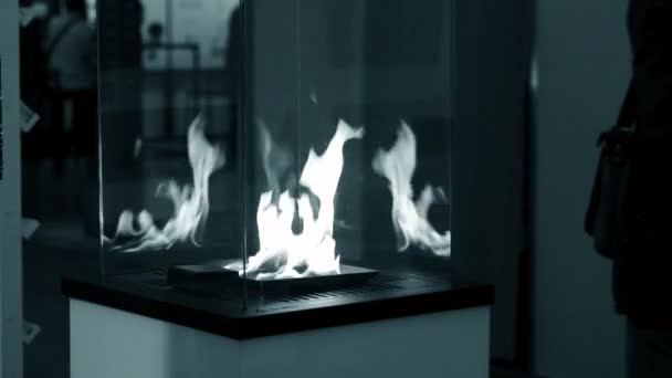 Burning fire flame close up. Biofireplace burn on ethanol gas. — 图库视频影像