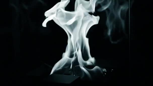 Burning fire flame close up. Biofireplace burn on ethanol gas. — Stockvideo