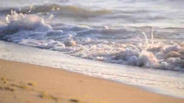 Areia amarela e água clara mar oceano praia pela manhã . — Vídeo de Stock