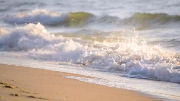Spiaggia di sabbia gialla e mare limpido oceano al mattino . — Video Stock