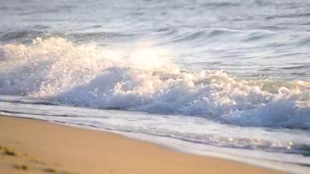 Sárga homok és tiszta víz óceán strand reggel. — Stock videók