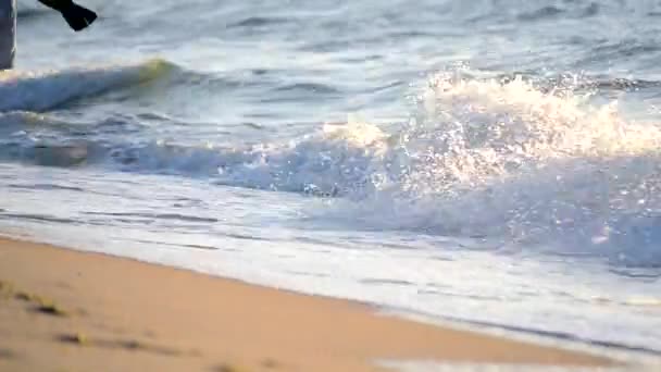 Жовтий пісок і чиста вода океанський пляж вранці . — стокове відео