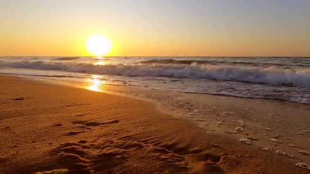 海で日の出が明けている。水と波の海の風景 — ストック動画