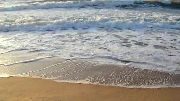 Vatten och vågor havet landskap natur land scen bakgrunden — Stockvideo