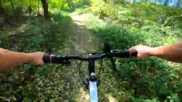 Flicka rider cykel genom skogen. En man på cykeltur i skogen — Stockvideo