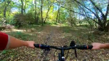 Güneşli bir sonbaharda ormanda bisiklet süren bir adam..