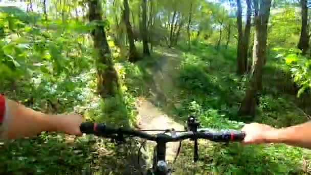 Een man op een fiets rijdt in het bos in de herfst bij zonnig weer. — Stockvideo