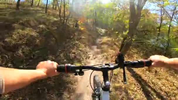 A rapariga anda de bicicleta pela floresta. Um homem de bicicleta anda na floresta — Vídeo de Stock