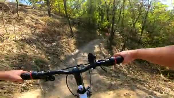 Flicka rider cykel genom skogen. En man på cykeltur i skogen — Stockvideo