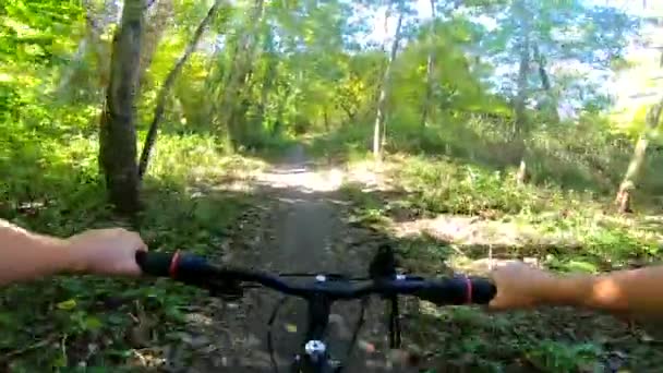 En man på cykel rider i skogen på hösten i soligt väder. — Stockvideo