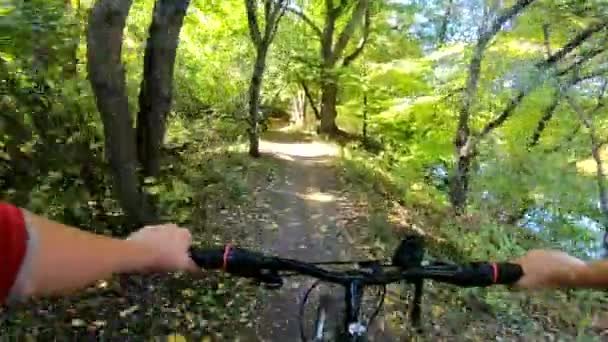 A rapariga anda de bicicleta pela floresta. Um homem de bicicleta anda na floresta — Vídeo de Stock