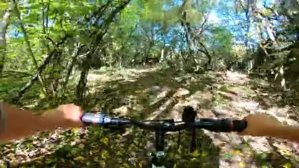 Mädchen radelt durch Wald. Ein Mann fährt mit dem Fahrrad im Wald — Stockvideo