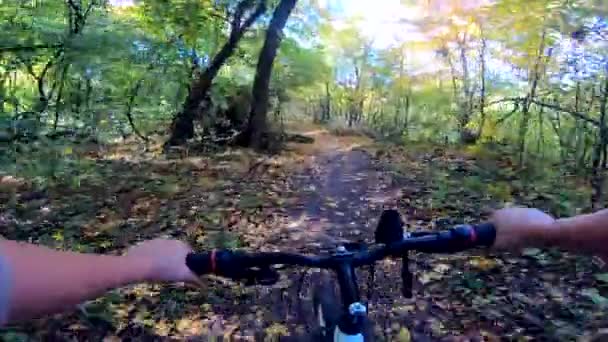 女の子は森の中を自転車に乗る。森の中を自転車で走っている男 — ストック動画