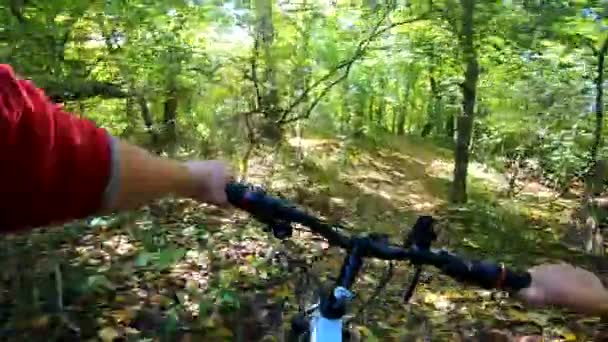 Ragazza va in bicicletta attraverso la foresta. Ragazza cavalca in bicicletta lungo il percorso nella foresta — Video Stock