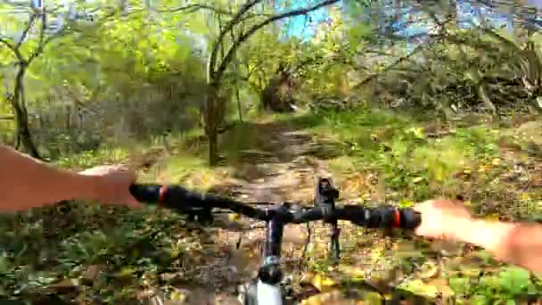 Flicka rider cykel genom skogen. Flicka rider cykel längs stigen i skogen — Stockvideo